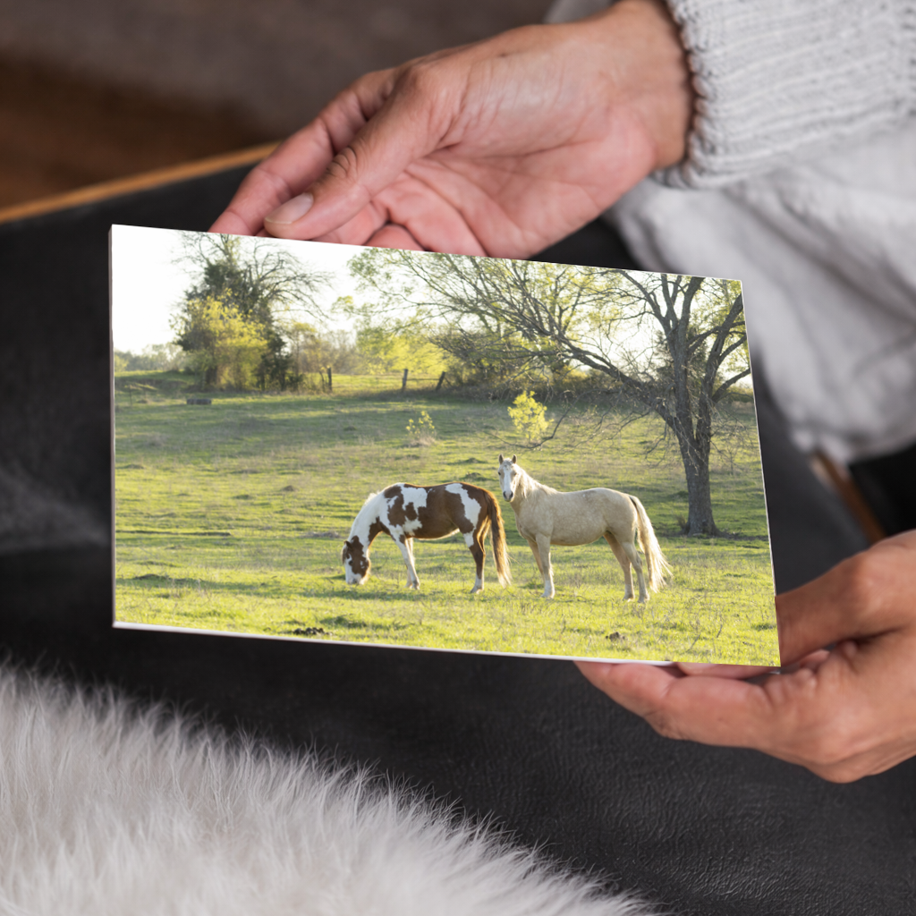 Horses in the Field Farmhouse Wall Art