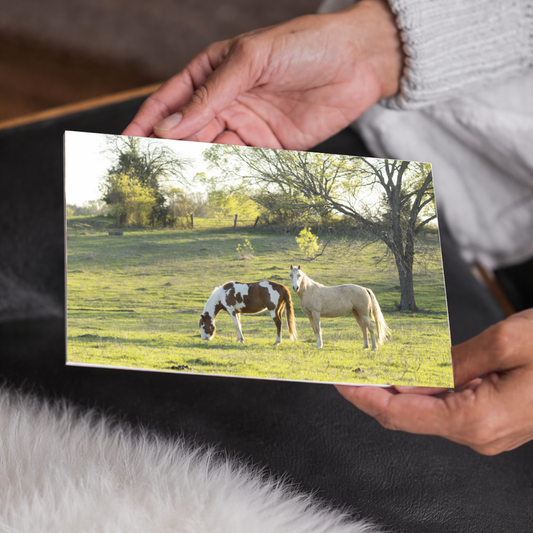 Horses in the Field Farmhouse Wall Art