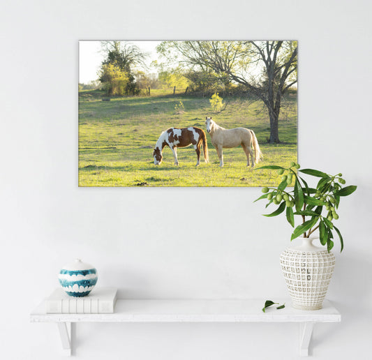 Horses in the Field Farmhouse Wall Art