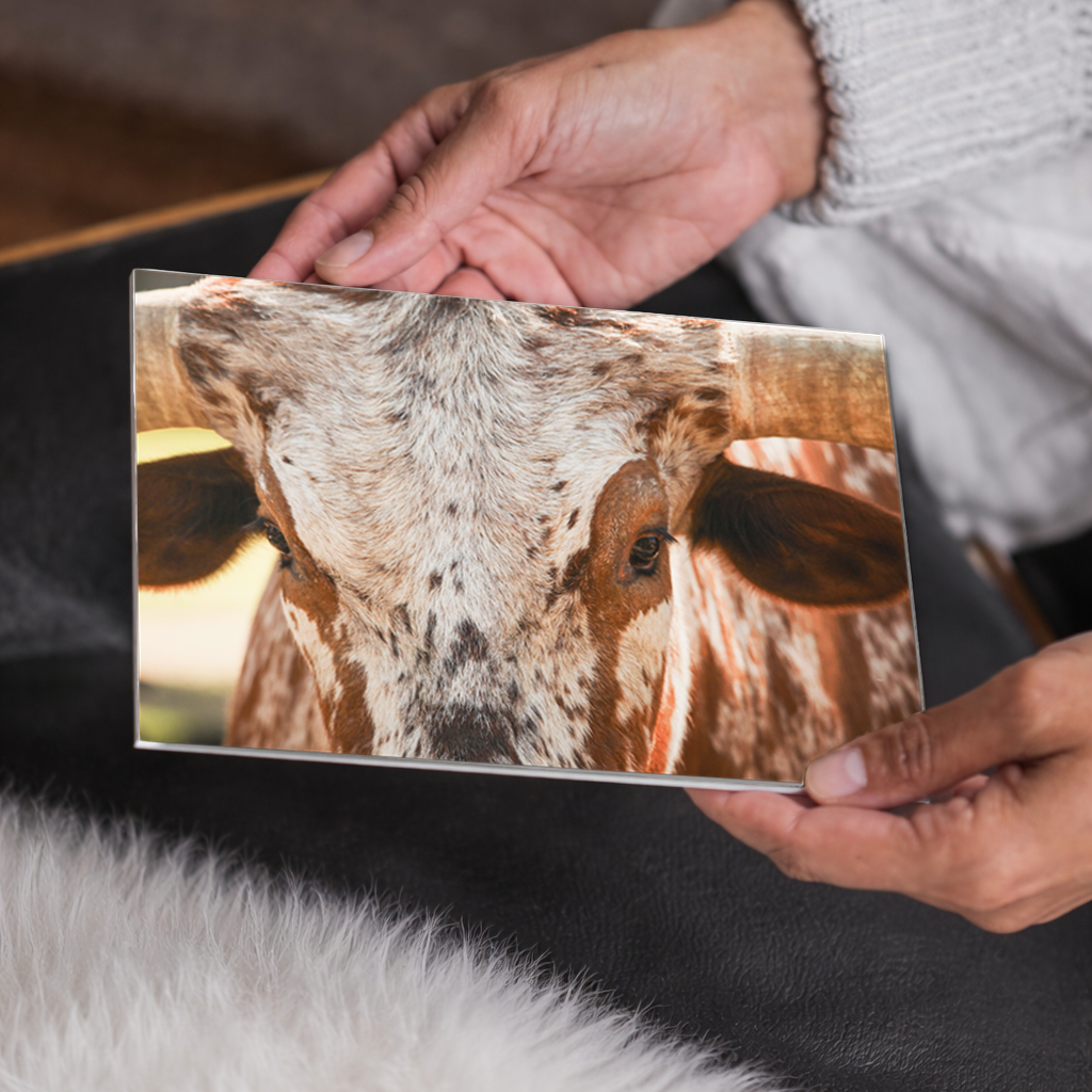 Longhorn Close-Up | Canvas Wall Art, Western Home Decor