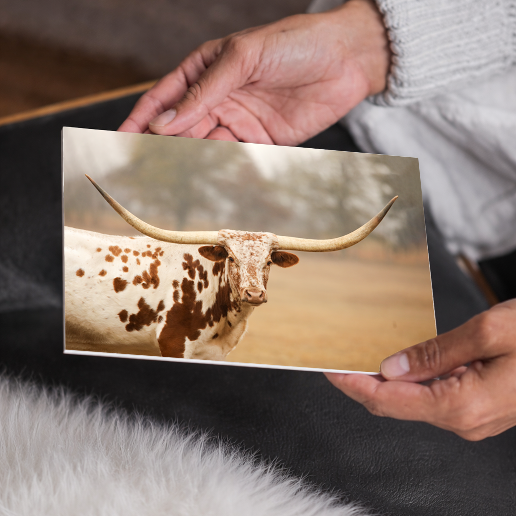 Red and White Longhorn Cow Canvas Wall Art