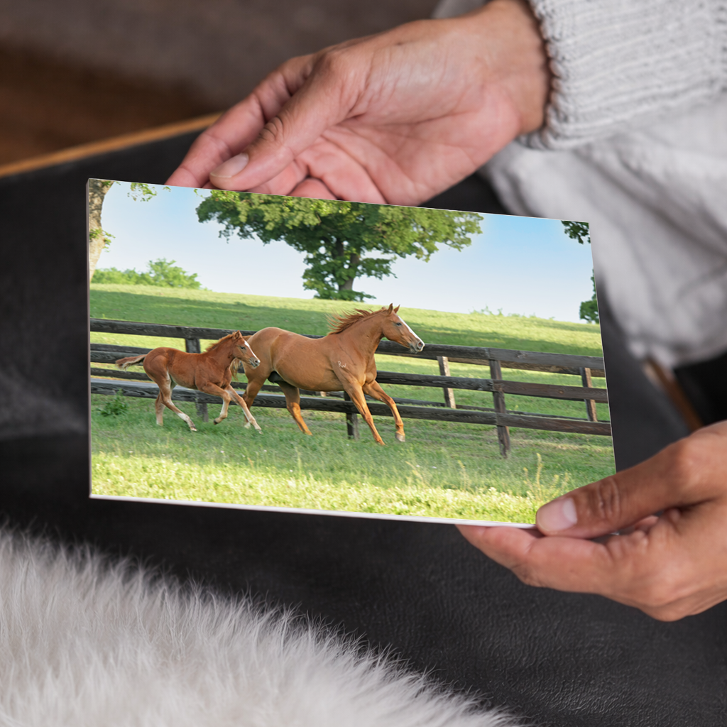 Mare and Foal Running | Beautiful Horse Canvas Wall Art | Equestrian Home Decor