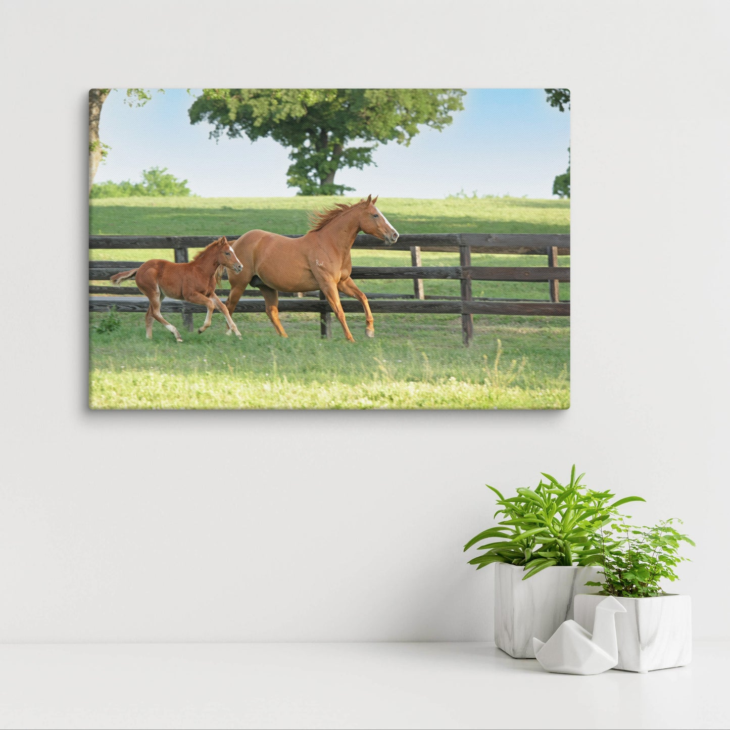 Mare and Foal Running | Beautiful Horse Canvas Wall Art | Equestrian Home Decor