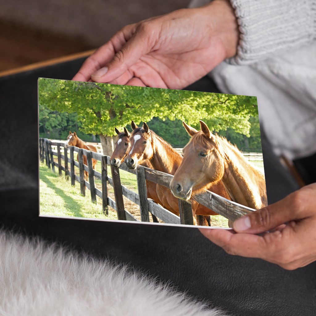 Morning Greeting Equestrian Wall Art | Farmhouse Decor