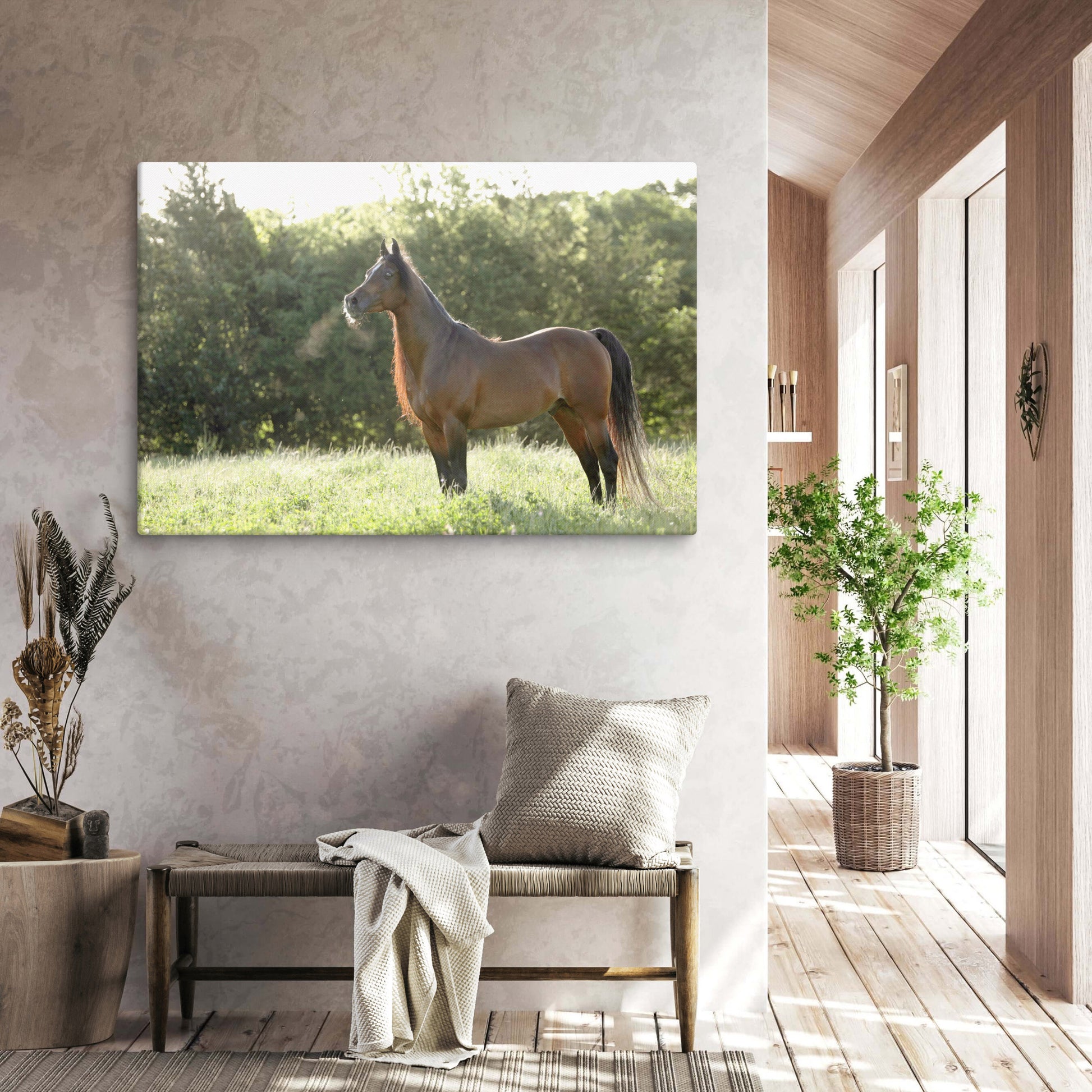 Horse canvas wall art, original, photography