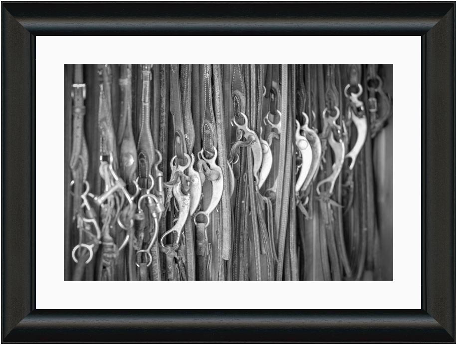 Western Horse Bits Framed Print with 2" Mat