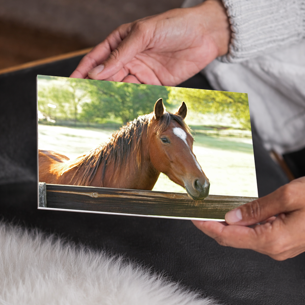 Pretty Bay Horse Wall Art | Farmhouse Home Decor