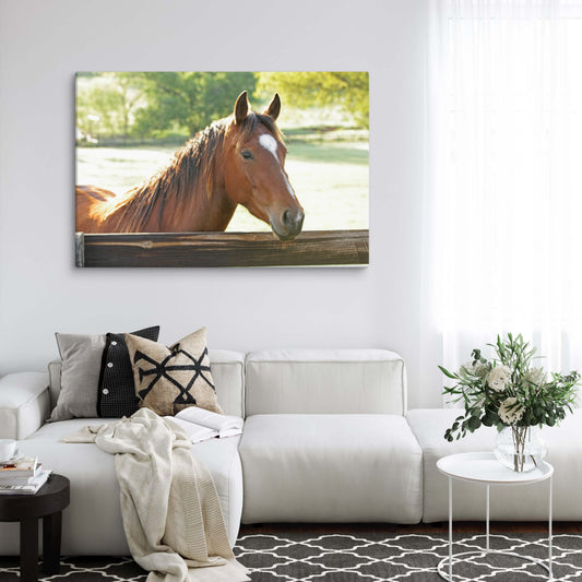 Pretty Bay Horse Wall Art | Farmhouse Home Decor