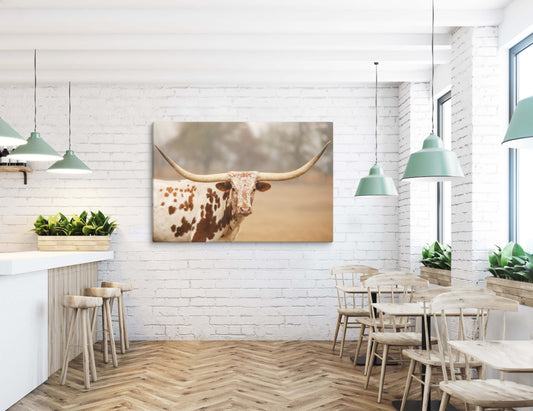 Red and White Longhorn Cow Canvas Wall Art