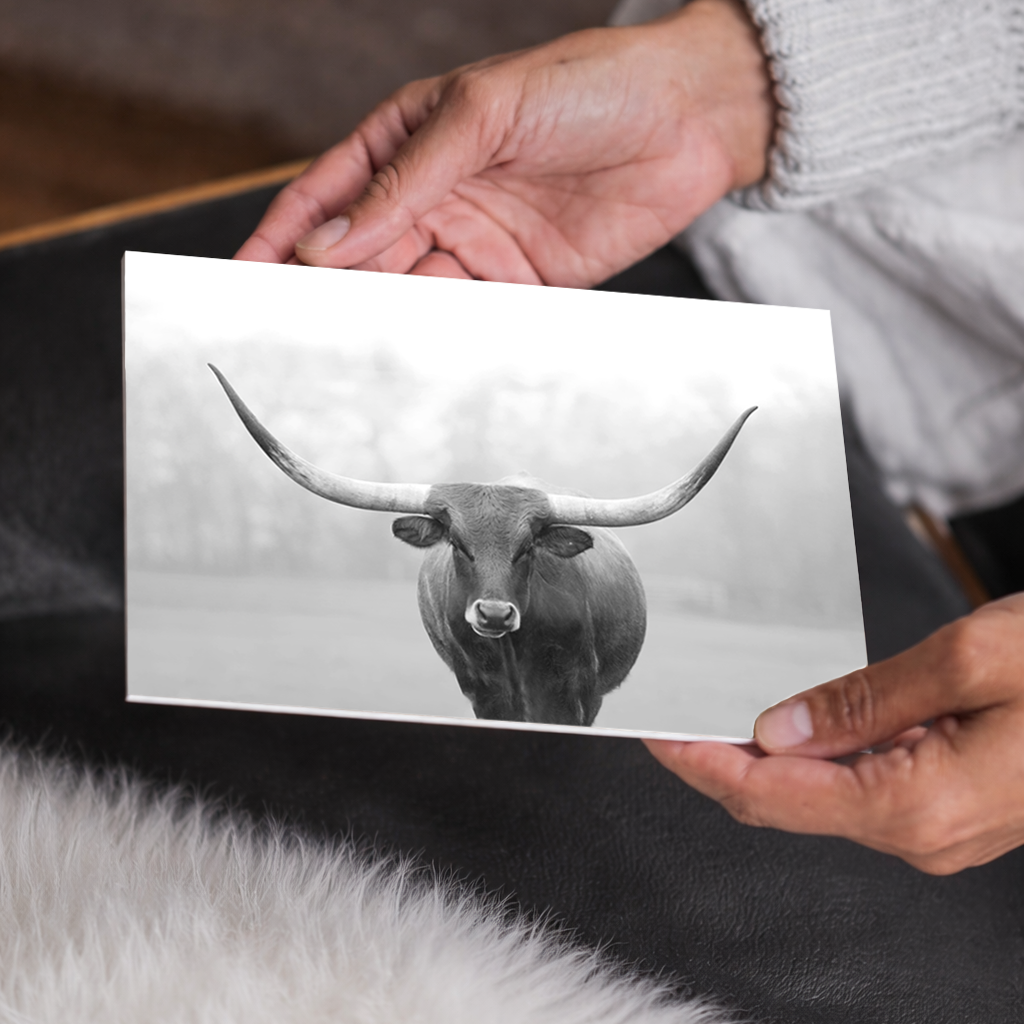 Longhorn Cow Canvas Wall Art, Black and White Cattle Farmhouse Decor