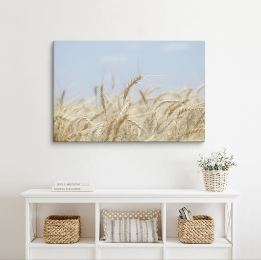 Golden Wheat Canvas, Agriculture Wall Art, Crops and Farmhouse Decor